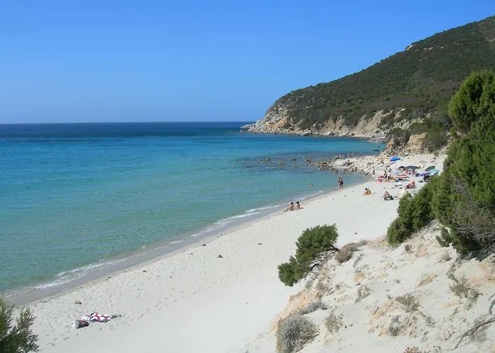 Simius Сasa de vacaciones *