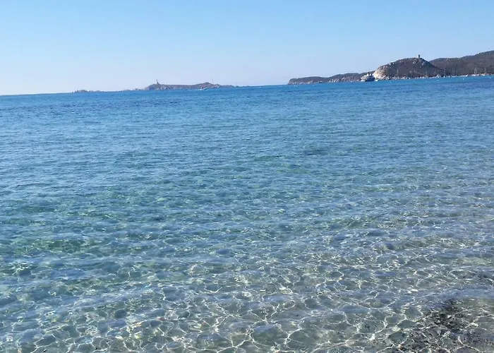 Simius فيلاّسيمِيوس